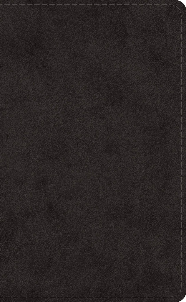 ESV Pocket Bible Black I/L