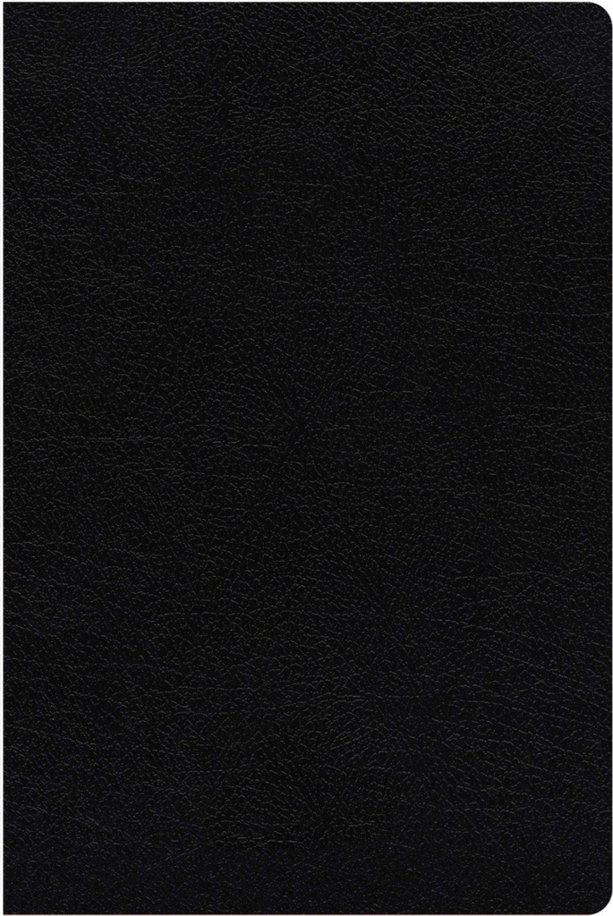 NIV Study Bible Fully Revised Edition Black Indexed