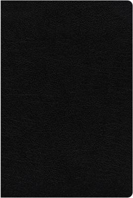 NIV Study Bible Fully Rev Ed Large Print Black Indexed