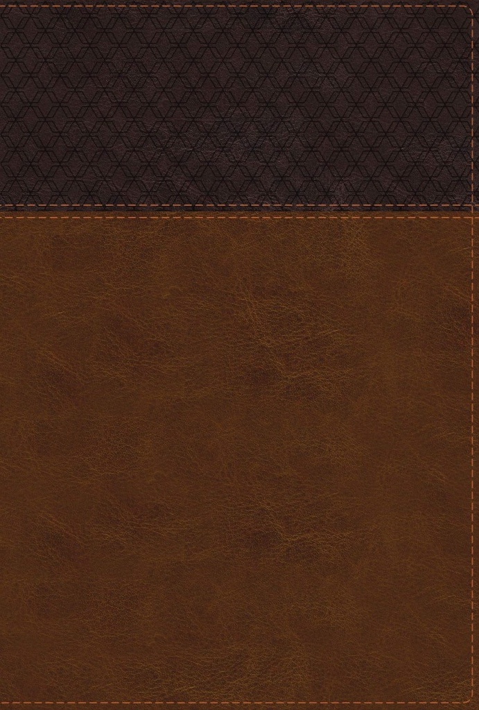 NIV Study Bible Fully Rev Ed Large Print Brown Indexed