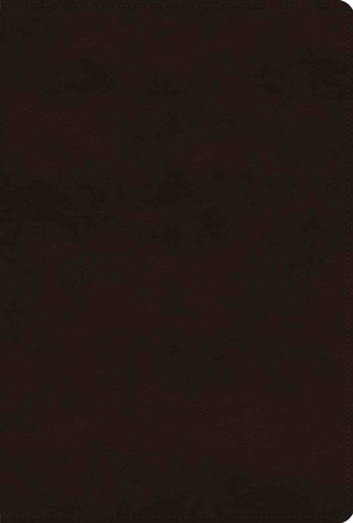 ESV Women's Study Bible Deep Brown I/L