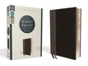 NIV Giant Print Compact Bible Black I/L