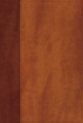 NIV Giant Print Compact Bible Brown I/L