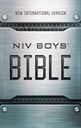 NIV Boys' Bible Metalic-Look H/C