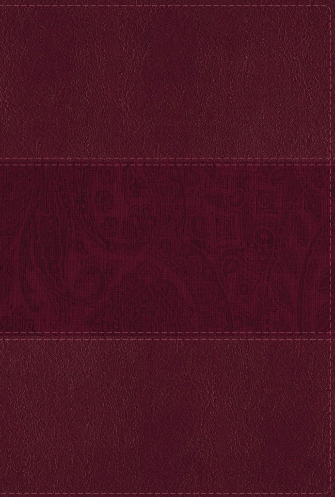NIV Study Bible Fully Rev Ed Large Print Burg Indexed
