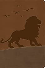 KJV One Big Story Bible Brown Lion I/L