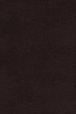 NASB Thinline Bible Lge Pt Passaggio 1995 Text Black