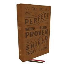NKJV Personal Size Ref Bible Verse Art Cover Tan I/L