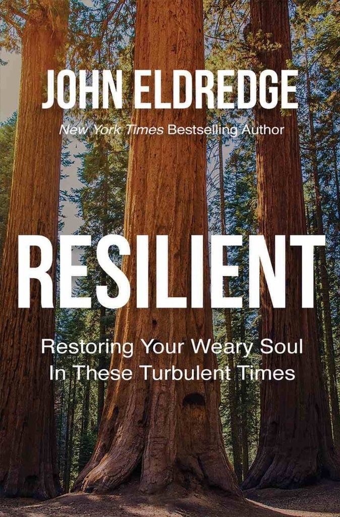 Resilient: Restoring Your Weary Soul ITPE