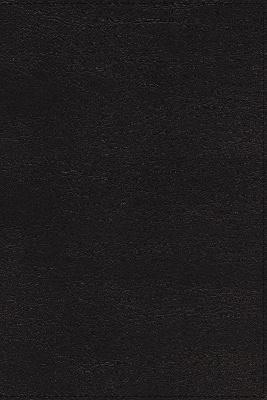 NRSVue Holy Bible Black I/L