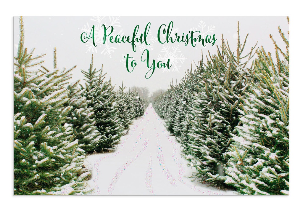 GC: Christmas Boxed Peaceful Christmas To You (Gold Box)