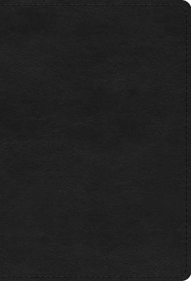 ESV Compact Bible Large Print Black I/L  (OP)