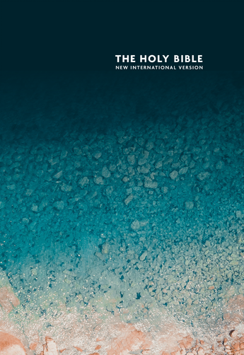 NIV Bible BSNZ Standard P/B Seaside