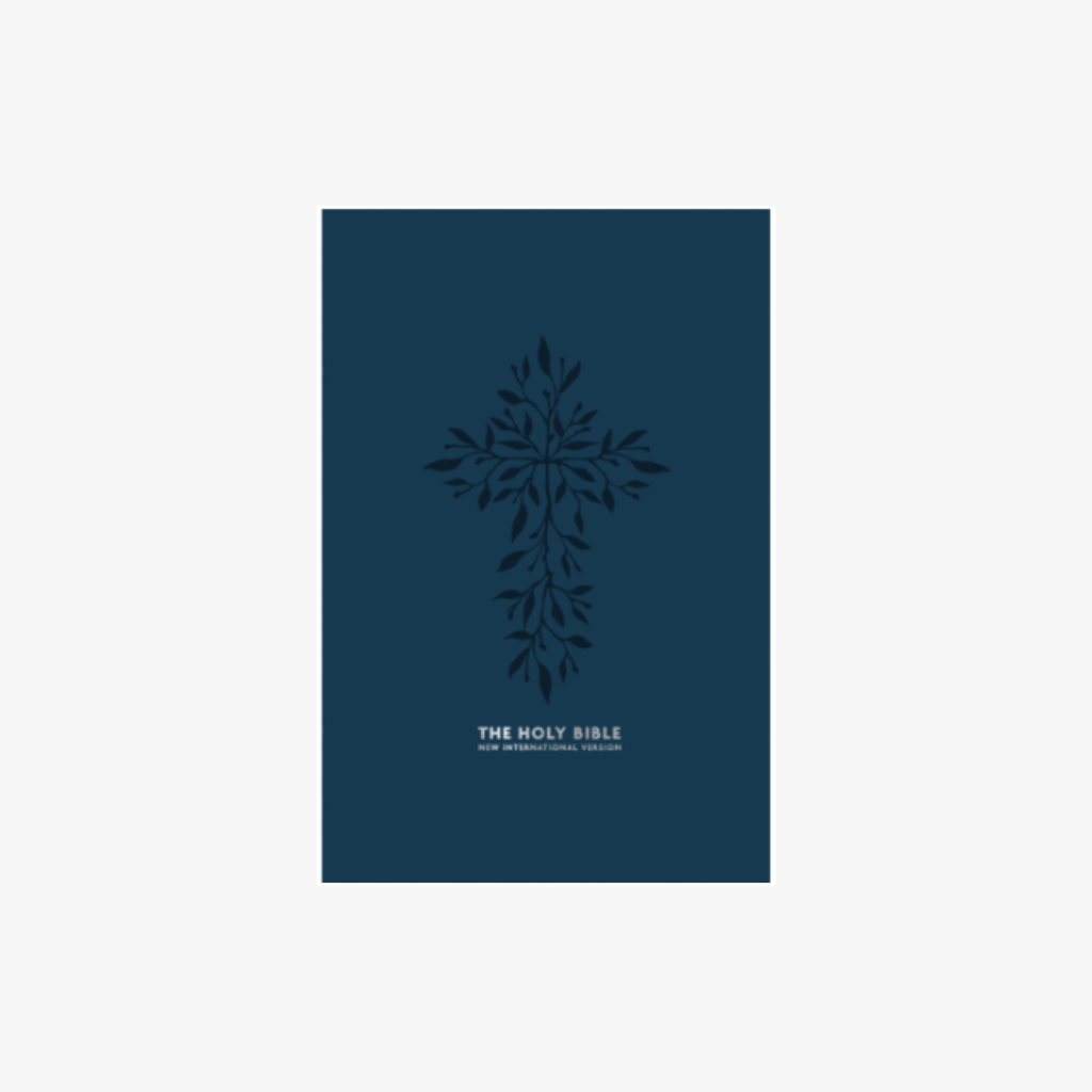 NIV Bible BSNZ Duotone Blue Indexed