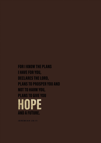 NIV Bible BSNZ Duotone Brown Indexed Zip