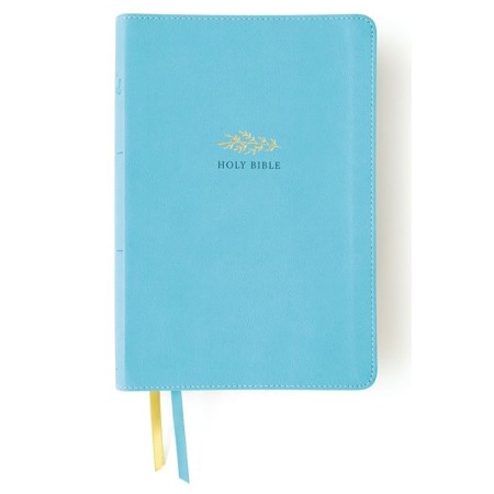 NIV Women's Devotional Bible Large Print Teal I/L