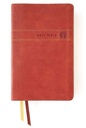 NIV Men's Devotional Bible Brown I/L