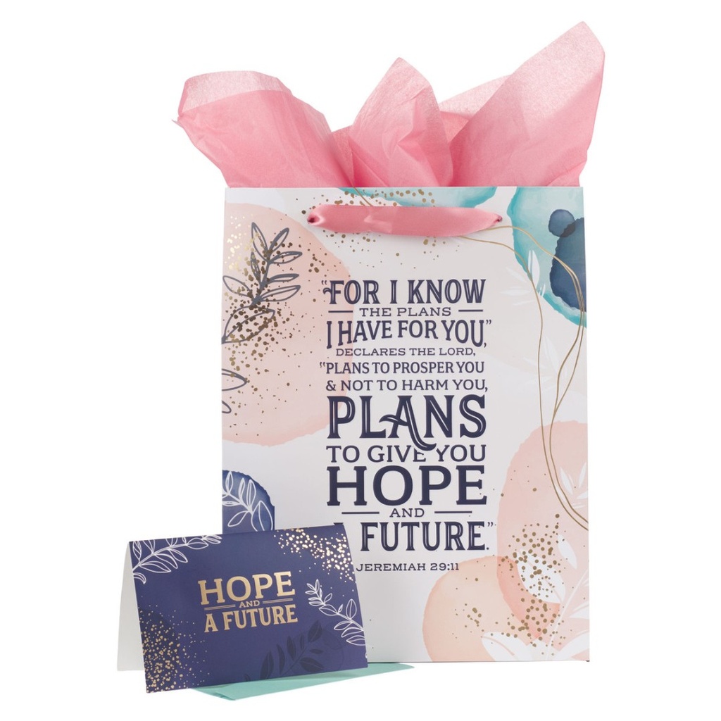 Gift Bag I Know The Plans Large Portrait w/Card