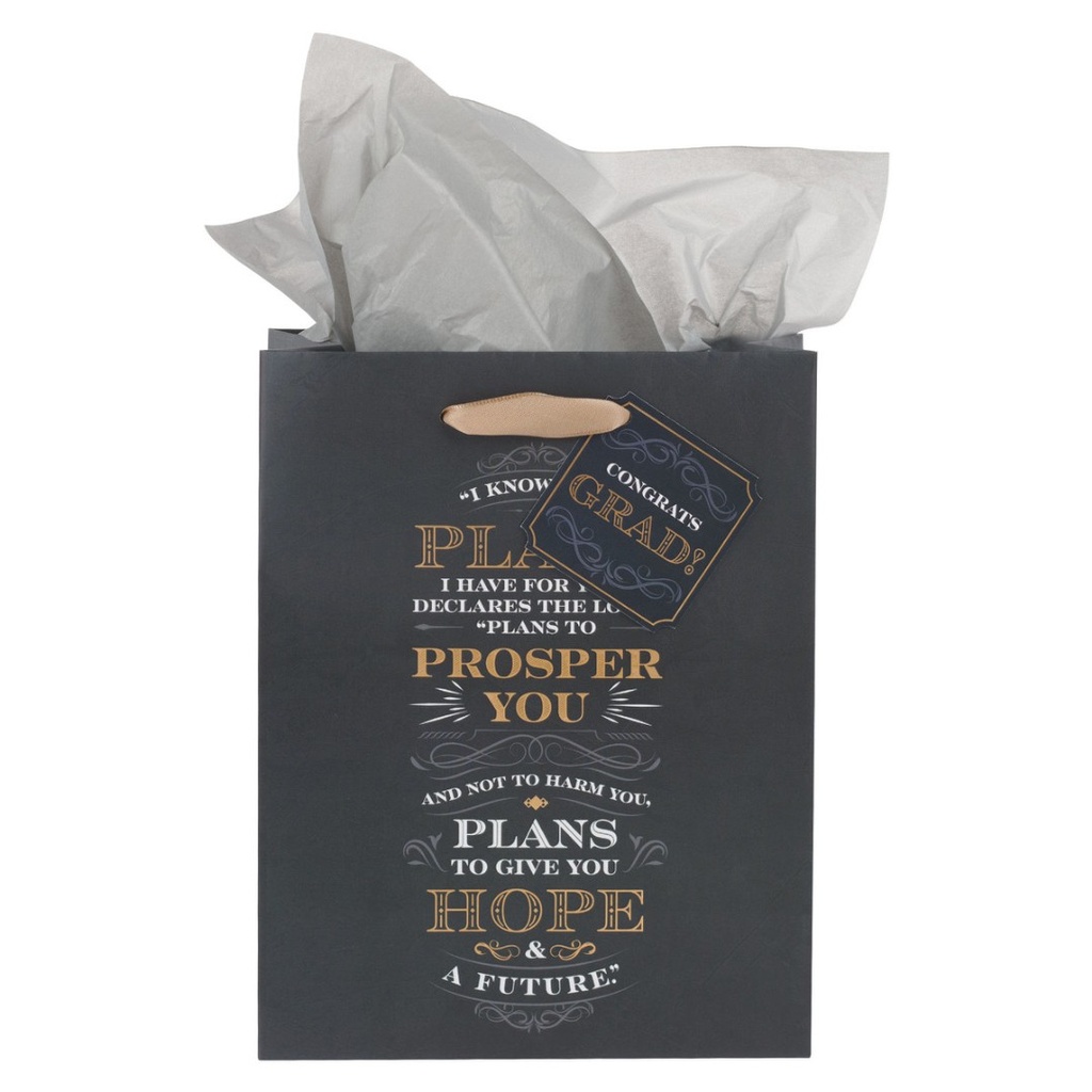 Gift Bag Medium I Know The Plans Grey