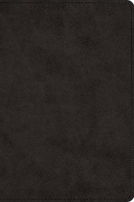 ESV Large Print Bible Black I/L