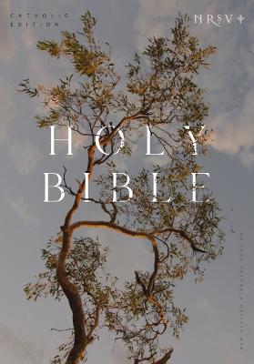 NRSV Catholic Ed Bible Anglicised Eucalyptus P/B