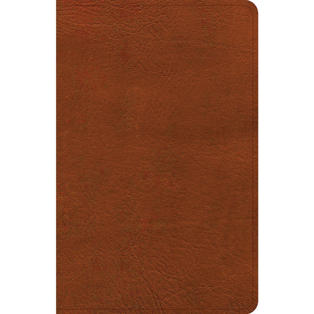 NASB (2020) Personal Size Bible Burnt Sienna I/L