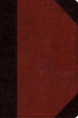 ESV Study Bible Personal Size Portfolio Design Brown