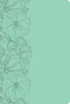 CSB Large Print Thinline Bible Value Ed Teal  I/L