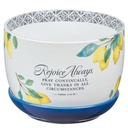 Planter Pot With Saucer Rejoice Always Lemons