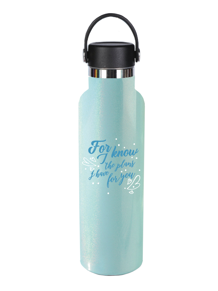 Thermos Bottle I Know The Plans Blue SS