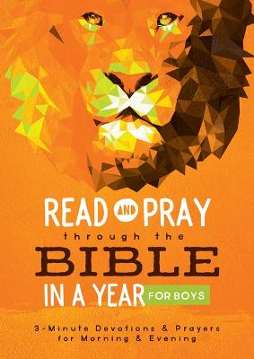 Read & Pray Through the Bible in a Year For Boys  (OP)