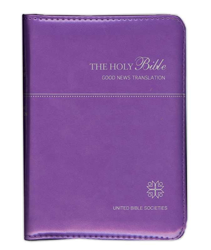 GNB Compact Imitation Leather with Zip Purple