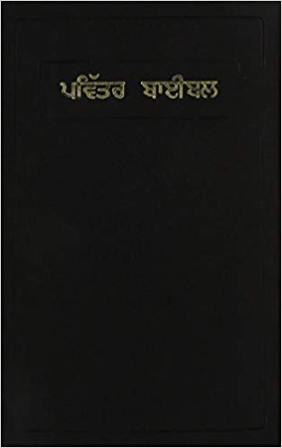 Punjabi Bible Common Language Vinyl