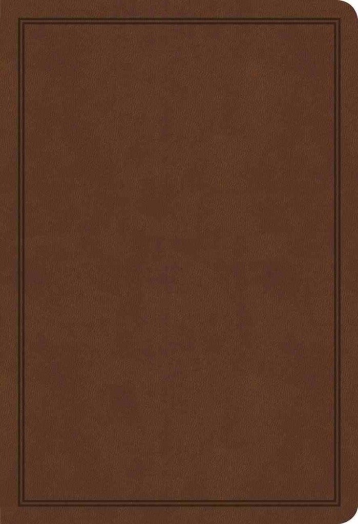 KJV Deluxe Gift Bible Brown I/L