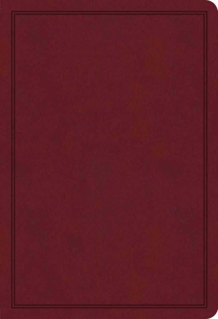 KJV Deluxe Gift Bible Burgundy I/L