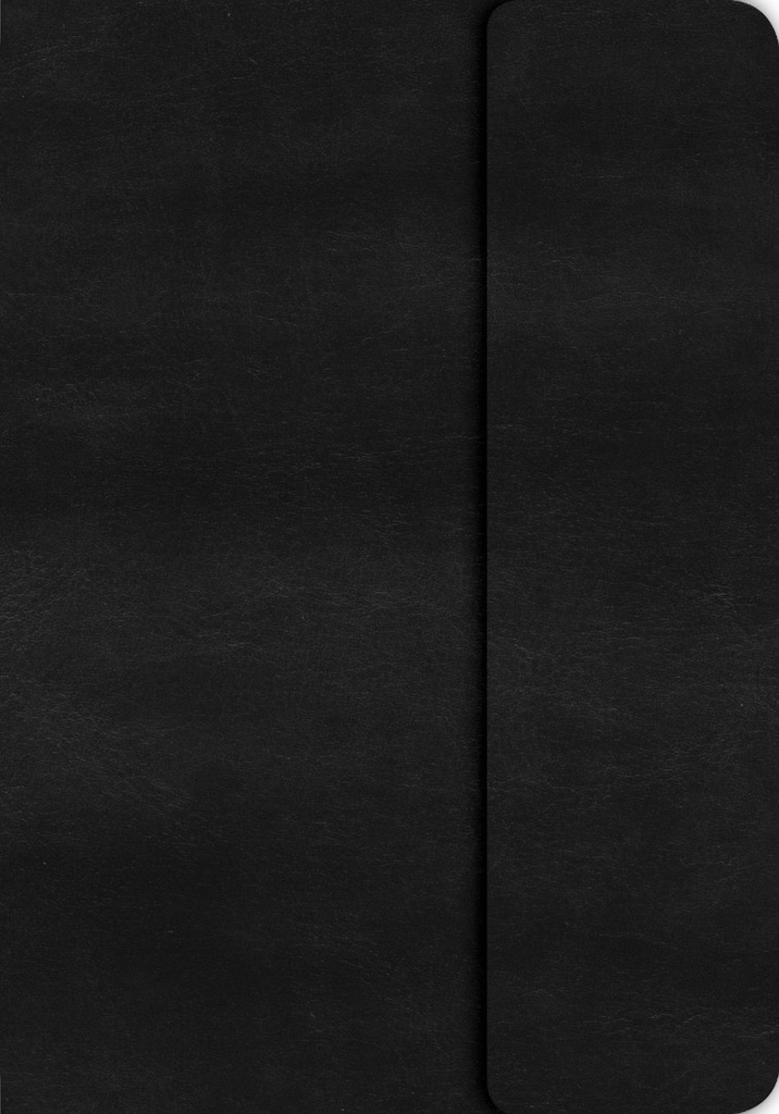 KJV Large Print Compact Ref Bible Black Magnetic Flap I/L