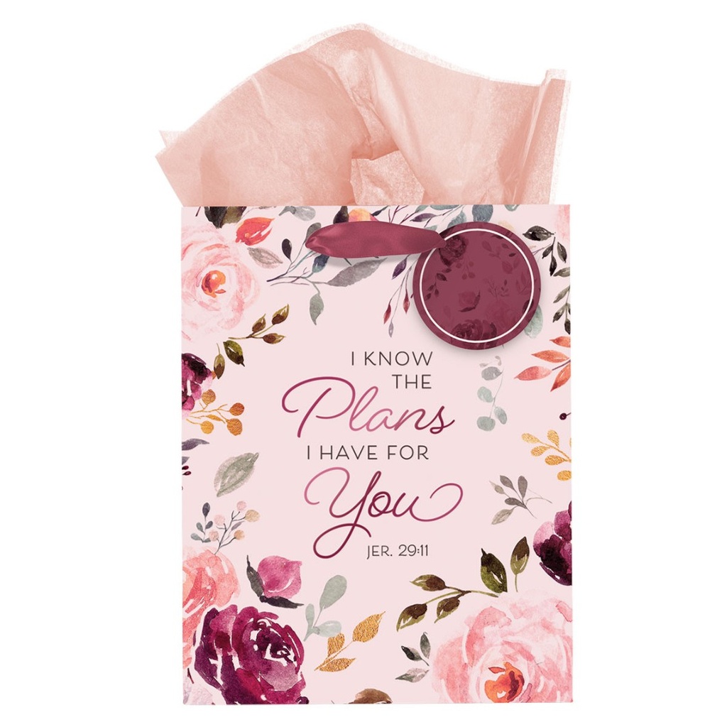 Gift Bag I Know The Plans Pink Floral Medium