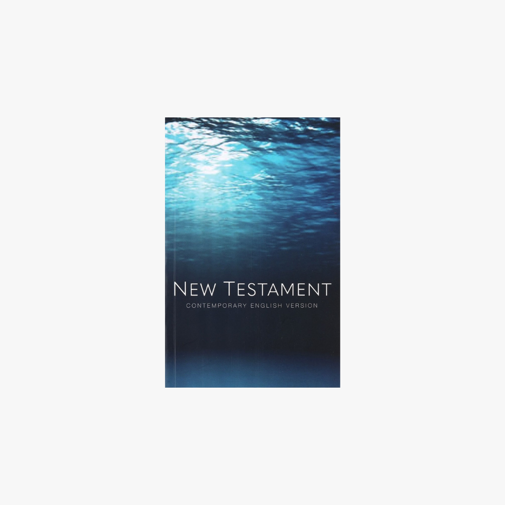 CEV Immerse Yourself  New Testament PB