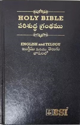 Telugu/ESV Digot HC Gilt Edged
