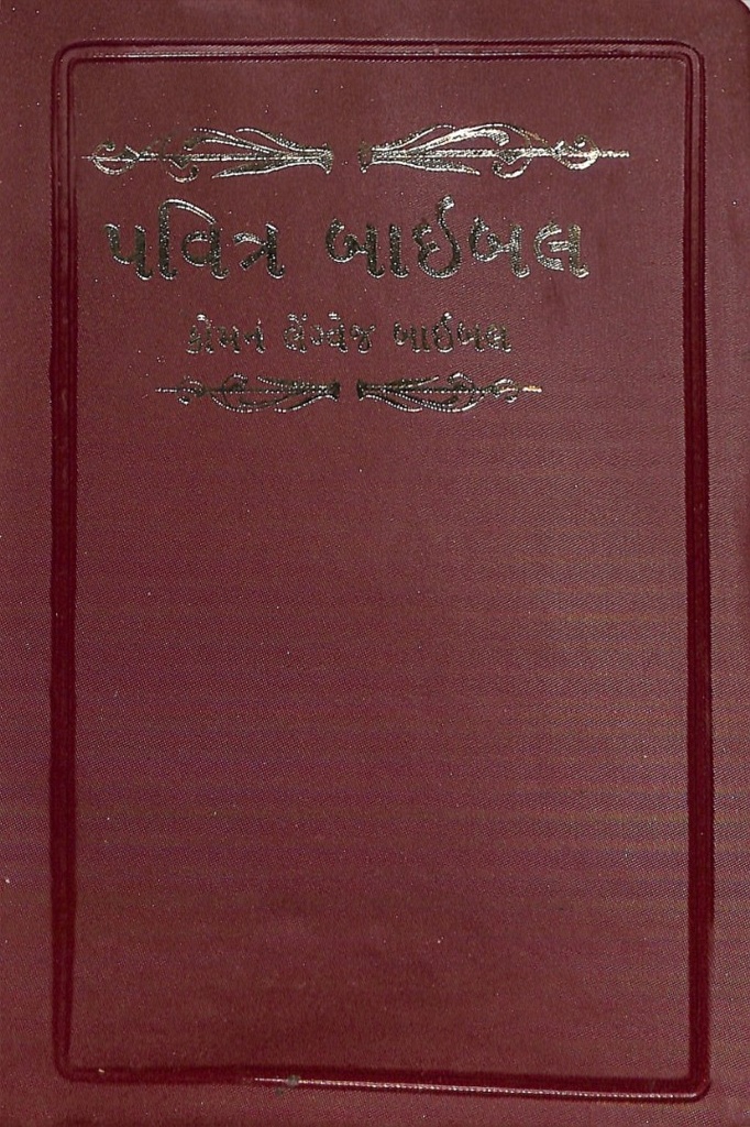 Gujarati Bible CL Vinyl Gilt Edged Burgundy