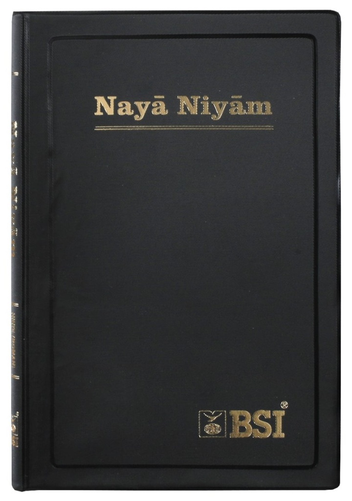 Hindi Roman Script  New Testament Vinyl (Fiji)