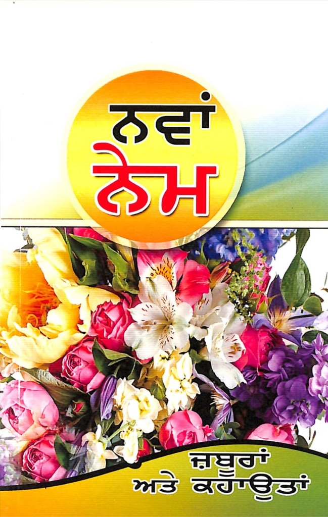 Punjabi New Testament Psalms/Proverbs Semi Compact PB