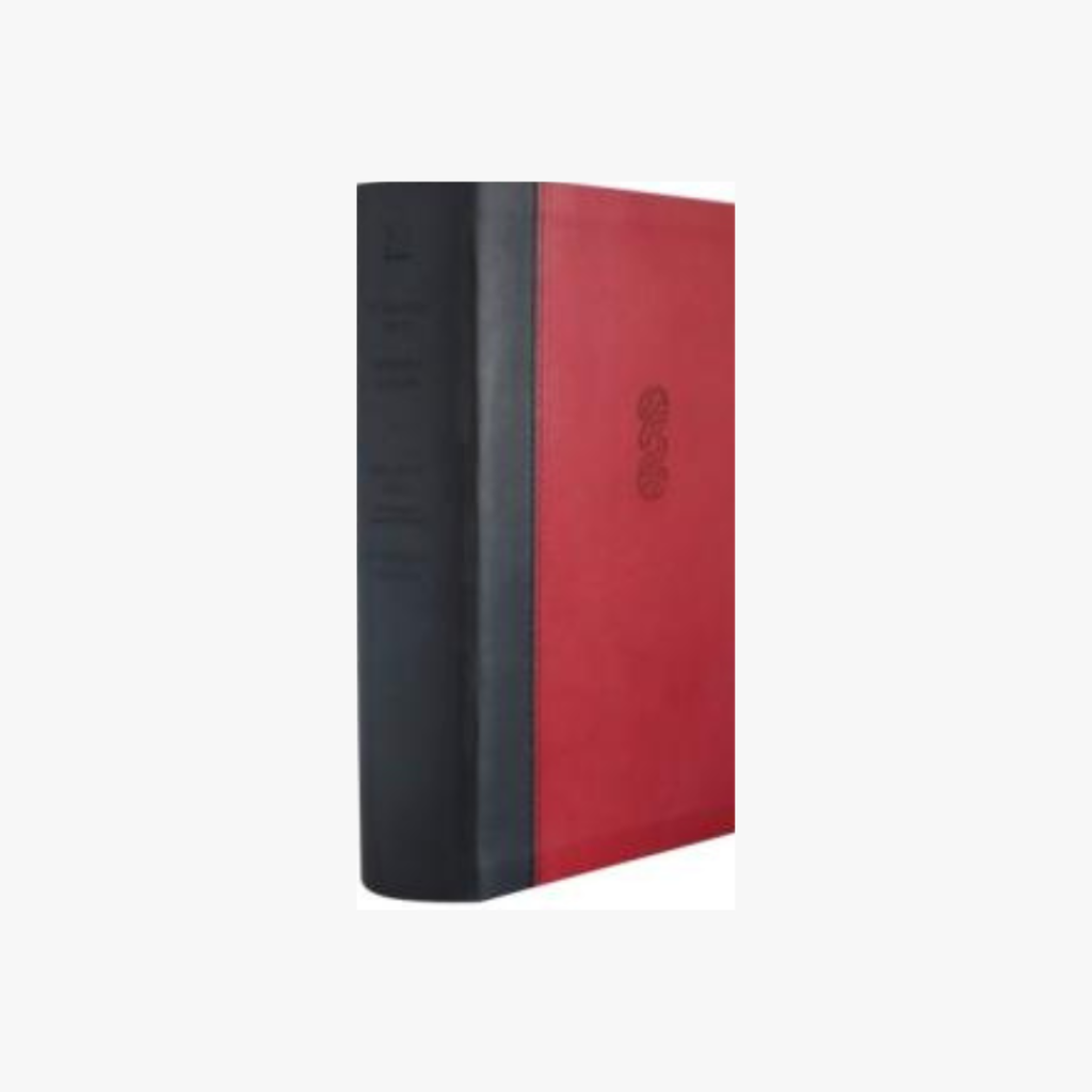 Maori / NRSV Bilingual Diglot Imitation Leather Red/Black