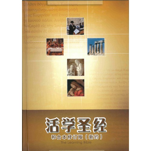 Chinese RCUV-SS The Learning Bible NT H/C