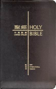 Chinese Union Trad / Eng NIV Bible B/L  Black Zip
