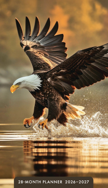 2026 28 Month Planner Eagles (07/25)