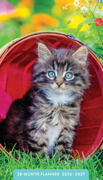 2026 28 Month Planner Kittens (07/25)