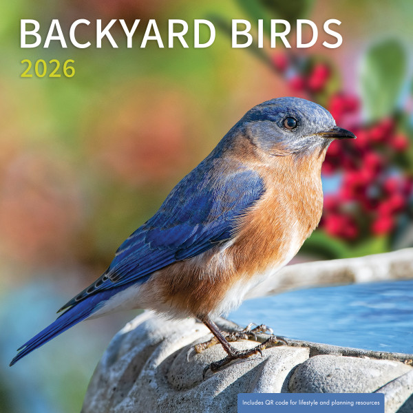 2026 Wall Calendar Backyard Birds (07/25)