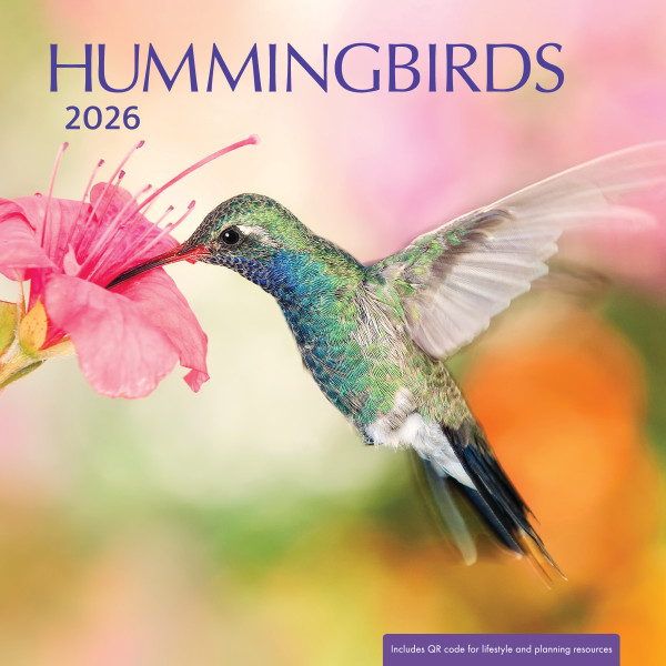 2026 Wall Calendar Hummingbirds (07/25)