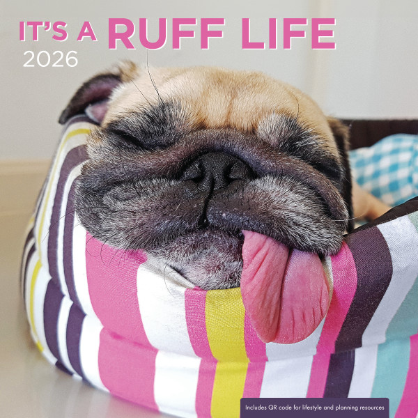 2026 Wall Calendar Its A Ruff Life (07/25)